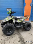 Квадроцикл RAPTOR NEW 125