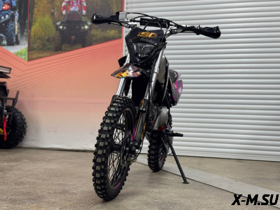 Мотоцикл (питбайк) PROMAX FIDET (ФАЙДЕТ) 145E PRO 17/14