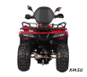 Квадроцикл Bizon YK250 BASIC CARB