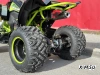 Квадроцикл PROMAX RAPTOR 300 AIR Monster