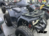 КВАДРОЦИКЛ PROMAX WILD 180 PRO Серый Б/У