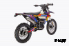 Мотоцикл Avantis Enduro 300 EFI Exclusive (NB300/177MM) ARS 2023 ПТС