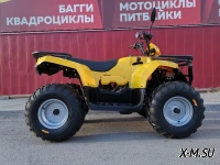 Квадроцикл IRBIS ATV 200