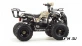 Квадроцикл MOTOLAND (МОТОЛЕНД) 125 FOX