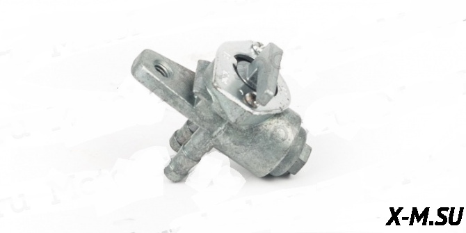 Бензокран XR250