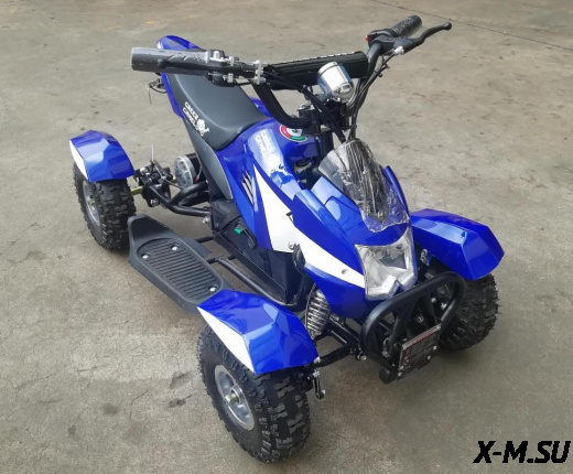 Квадроцикл GreenCamel Гоби K22 (36V 500W R4 Цепь)