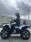 Квадроцикл MOTOLAND (МОТОЛЕНД) 300 MAX X (с ПСМ)